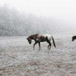How-to-add-falling-snow-in-photoshop-blog-image-24