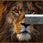 Fade-command-in-edit-menu-in-photoshop-blog-image-4