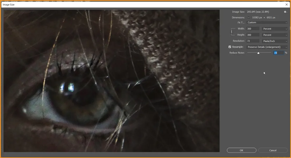 How to enlarge an image in Photoshop 5 Noise slider with Preserve Details Resample option