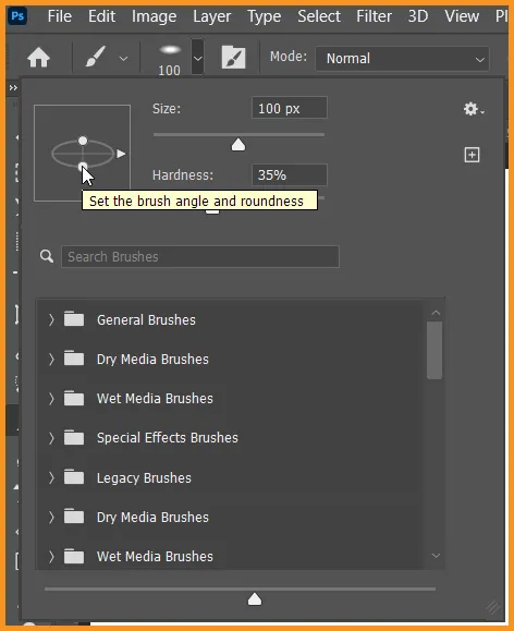 Define Brush Preset in Photoshop 14 Option for roundness of brush in Brush preset picker in photoshop