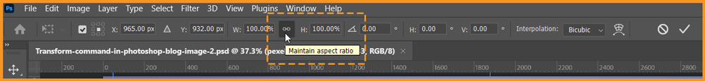 Option Bar of Free Transform in Photoshop