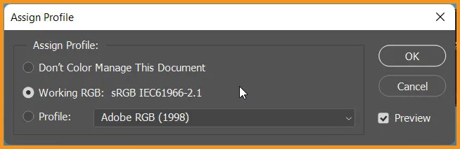 Assign Profile in Photoshop 2 Assign Profile dialog box