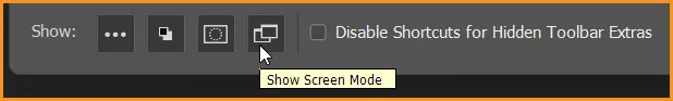 Screen Mode visibility icon